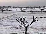 A view of the hailstone-covered area following a hailstorm, in Churu on Saturday. 