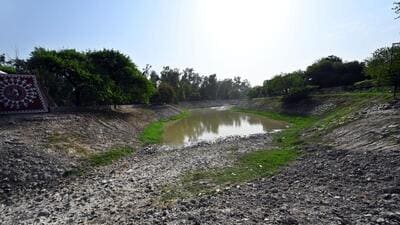 A small patch of water in a dried-up lake in east Delhi in 2024. (Ajay Aggarwal/HT Photo)