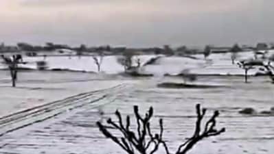 A view of the hailstone-covered area following a hailstorm, in Churu on Saturday. (ANI) A view of the hailstone-covered area following a hailstorm, in Churu on Saturday. (ANI)