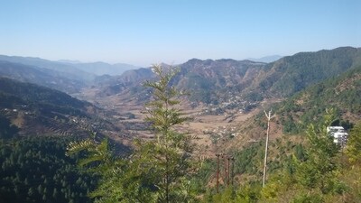 As per the affidavit submitted to the NGT by the forest department, in view of the GR and circulars issued by the state government. (HT PHOTO) As per the affidavit submitted to the NGT by the forest department, in view of the GR and circulars issued by the state government. (HT PHOTO)
