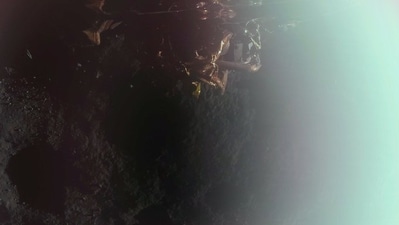 Blue Ghost's first moon image was shared on the official X handle of Firefly Aerospace. (X) Blue Ghost's first moon image was shared on the official X handle of Firefly Aerospace. (X)