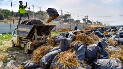 The Prayagraj municipal corporation is also working to make sure that the cleaned grounds will have more greenery (PTI) The Prayagraj municipal corporation is also working to make sure that the cleaned grounds will have more greenery (PTI)