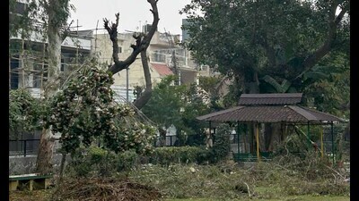 Residents of Gurdev Nagar alleged horticulture waste has started to pile up in their locality and no corrective steps are being taken to resolve the matter. (HT PHOTO) Residents of Gurdev Nagar alleged horticulture waste has started to pile up in their locality and no corrective steps are being taken to resolve the matter. (HT PHOTO)