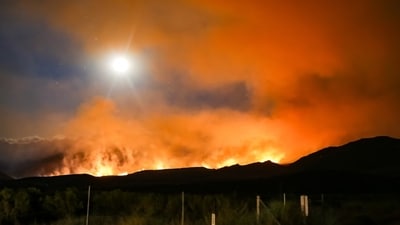 Wildfires erupted in North and South Carolina on Saturday, leading to urgent evacuations. (Representational image- Unsplash ) Wildfires erupted in North and South Carolina on Saturday, leading to urgent evacuations. (Representational image- Unsplash )