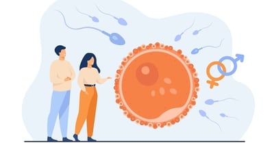 Here are some natural fertility boosters and lifestyle changes that can improve your chances of conception. (Freepik) Here are some natural fertility boosters and lifestyle changes that can improve your chances of conception. (Freepik)