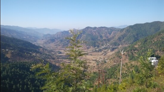 As per the affidavit submitted to the NGT by the forest department, in view of the GR and circulars issued by the state government. (HT PHOTO)