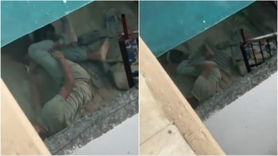 A viral video shows the pitbull lunging at the worker’s right leg, biting him repeatedly as he lay on the ground bleeding. (X) A viral video shows the pitbull lunging at the worker’s right leg, biting him repeatedly as he lay on the ground bleeding. (X)