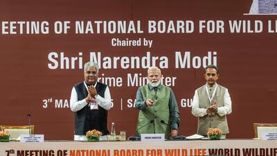 Prime Minister Narendra Modi lays the foundation stone for the National Referral Centre-Wildlife at the 7th meeting of the National Board For Wildlife, at Sasan Gir National Park in Junagarh on Monday (ANI) Prime Minister Narendra Modi lays the foundation stone for the National Referral Centre-Wildlife at the 7th meeting of the National Board For Wildlife, at Sasan Gir National Park in Junagarh on Monday (ANI)