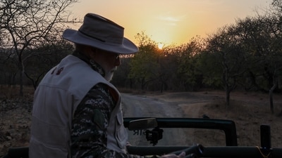  In an X post, he said, "This morning, on #WorldWildlifeDay, I went on a Safari in Gir, which, as we all know, is home to the majestic Asiatic Lion. Coming to Gir also brings back many memories of the work we collectively did when I was serving as Gujarat CM. Over the past many years, collective efforts have ensured that the population of Asiatic Lions is rising steadily. Equally commendable is the role of tribal communities and women from surrounding areas in preserving the habitat of the Asiatic Lion." (X/@narendraModi) In an X post, he said, "This morning, on #WorldWildlifeDay, I went on a Safari in Gir, which, as we all know, is home to the majestic Asiatic Lion. Coming to Gir also brings back many memories of the work we collectively did when I was serving as Gujarat CM. Over the past many years, collective efforts have ensured that the population of Asiatic Lions is rising steadily. Equally commendable is the role of tribal communities and women from surrounding areas in preserving the habitat of the Asiatic Lion." (X/@narendraModi)