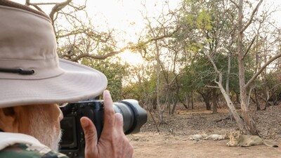 Gujarat's Asiatic lion population has been on the rise, according to the Centre, with the most recent estimate from June 2020 placing it at 674, up from 411 in 2010 and 523 in 2015. (X/@narendraModi) Gujarat's Asiatic lion population has been on the rise, according to the Centre, with the most recent estimate from June 2020 placing it at 674, up from 411 in 2010 and 523 in 2015. (X/@narendraModi)
