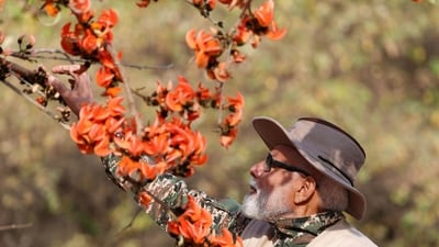 After returning from Somnath, where he prayed at the Lord Shiva temple, the first of the 12 Jyotirlingas, on Sunday evening, PM Modi spent the night at Sinh Sadan, a forest guest house run by the state forest department, in Sasan. (X/@narendraModi) After returning from Somnath, where he prayed at the Lord Shiva temple, the first of the 12 Jyotirlingas, on Sunday evening, PM Modi spent the night at Sinh Sadan, a forest guest house run by the state forest department, in Sasan. (X/@narendraModi)