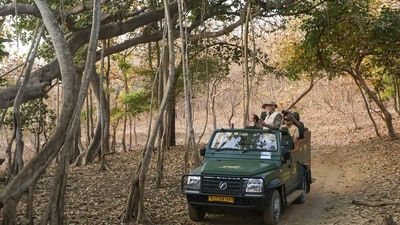 He was seen taking photos of lions while on a vehicle safari with senior forest department officials and a few ministers. (X/@narendraModi) He was seen taking photos of lions while on a vehicle safari with senior forest department officials and a few ministers. (X/@narendraModi)
