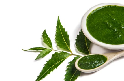 Apoorva Pandey says parents are drawn to the inherent gentleness of Ayurvedic and natural ingredients, such as neem, which have nurtured generations. (Freepik)