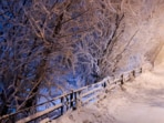 Coldest_City