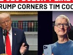 On Cam: Trump Corners Apple CEO, Says Tim Cook Doesn't 'Like' Him On Cam: Trump Corners Apple CEO, Says Tim Cook Doesn't 'Like' Him