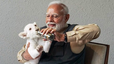 PM Narendra Modi explored various facilities at the centre and closely interacted with various animals that have been rehabilitated there. (ANI) PM Narendra Modi explored various facilities at the centre and closely interacted with various animals that have been rehabilitated there. (ANI)