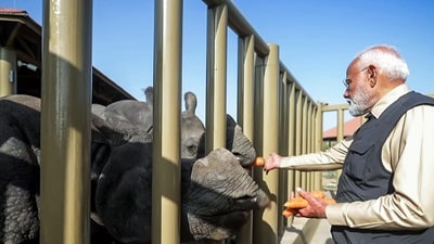 Jamnagar's Vantara: Prime Minister Narendra Modi feeds One-Horn Rhinos while visiting the wildlife rescue, rehabilitation, and conservation centre. (ANI) Jamnagar's Vantara: Prime Minister Narendra Modi feeds One-Horn Rhinos while visiting the wildlife rescue, rehabilitation, and conservation centre. (ANI)