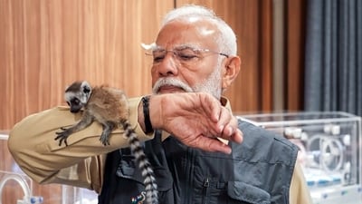 Prime Minister Narendra Modi during his visit to Jamnagar's Vantara, the wildlife rescue, rehabilitation, and conservation centre. (ANI) Prime Minister Narendra Modi during his visit to Jamnagar's Vantara, the wildlife rescue, rehabilitation, and conservation centre. (ANI)