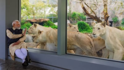 Prime Minister Narendra Modi recently inaugurated and visited Vantara, an animal rescue, conservation and rehabilitation centre in Gujarat's Jamnagar district. (Narendra Modi) Prime Minister Narendra Modi recently inaugurated and visited Vantara, an animal rescue, conservation and rehabilitation centre in Gujarat's Jamnagar district. (Narendra Modi)