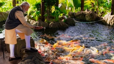 The Prime Minister's visit included heartwarming interactions with the centre's resident animals. (Narendra Modi) The Prime Minister's visit included heartwarming interactions with the centre's resident animals. (Narendra Modi)