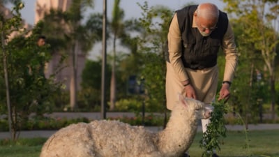 PM Modi explored various facilities at the centre and closely interacted with various animals that have been rehabilitated there. (Narendra Modi) PM Modi explored various facilities at the centre and closely interacted with various animals that have been rehabilitated there. (Narendra Modi)