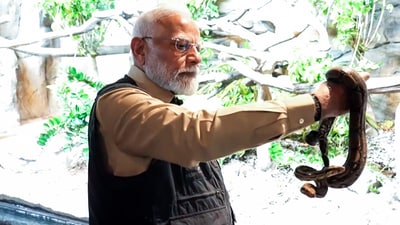 Prime Minister Narendra Modi holds a snake during his visit to the wildlife rescue, rehabilitation, and conservation centre, Vantara, in Jamnagar on Tuesday. (ANI - X) Prime Minister Narendra Modi holds a snake during his visit to the wildlife rescue, rehabilitation, and conservation centre, Vantara, in Jamnagar on Tuesday. (ANI - X)