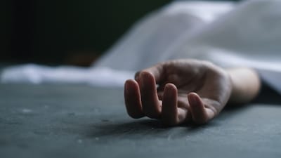 A woman in Uttar Pradesh refused to bury her cat for three days after it died, before eventually committing suicide (Representative/Shutterstock) A woman in Uttar Pradesh refused to bury her cat for three days after it died, before eventually committing suicide (Representative/Shutterstock)