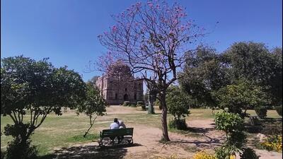 Blue skies at Lodhi Garden. (Vipin Kumar/HT Photo) Blue skies at Lodhi Garden. (Vipin Kumar/HT Photo)