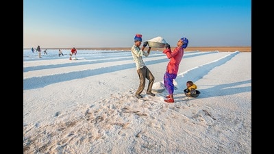 The salt makers of the Rann of Kutch (Shutterstock) The salt makers of the Rann of Kutch (Shutterstock)