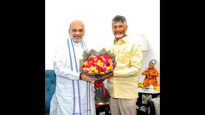 Union home minister Amit Shah and Andhra Pradesh chief minister N Chandrababu Naidu in New Delhi on Wednesday. (PTI) Union home minister Amit Shah and Andhra Pradesh chief minister N Chandrababu Naidu in New Delhi on Wednesday. (PTI)