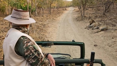 Modi shared pictures from his jungle safari in Gir National Park, Gujarat and urged people to visit. Modi shared pictures from his jungle safari in Gir National Park, Gujarat and urged people to visit.