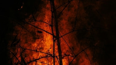 A new wildfire has erupted in Pittman Center near Gatlinburg, Tennessee. (Representational Image/ UnSplash) A new wildfire has erupted in Pittman Center near Gatlinburg, Tennessee. (Representational Image/ UnSplash)