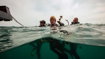 Divers rest after collecting trash off the coast of Hon Mot Island (AP) Divers rest after collecting trash off the coast of Hon Mot Island (AP)