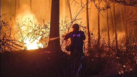 A firefighter tries to extinguish a fire that broke out in a forest area in Nainital in June 2024. (PTI)