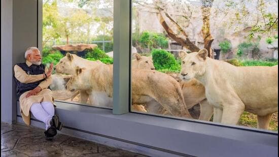 Prime Minister Narendra Modi interacts with Asiatic Lionesses during his visit to the wildlife rescue, rehabilitation, and conservation centre, Vantara, in Jamnagar on Tuesday (ANI)