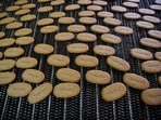 Biscuits pass along a conveyor belt after being baked at the Britannia factory in New Delhi on June 3, 2011.
