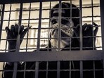 BKI terrorist with alleged ISI links arrested by UP STF and Punjab police. (Representative Image)