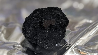 Shrinivas Aundhkar, director of MGM's APJ Abdul Kalam Astrospace and Science Centre in Chhatrapati Sambhajinagar said they would study the material and submit a report to the Beed district collector. (File) (Pic used for representation) (Instagram/@natural_history_museum)