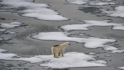 Antarctic sea ice recorded its fourth-lowest monthly extent for February, measuring 26% below average. (AFP)