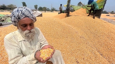 The Trump administration is keen for greater access to Indian markets for a variety of American agricultural produce. (HT File) The Trump administration is keen for greater access to Indian markets for a variety of American agricultural produce. (HT File)