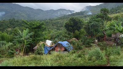 The land is in the ecologically sensitive Western Ghats. (HT PHOTO/Representative) The land is in the ecologically sensitive Western Ghats. (HT PHOTO/Representative)