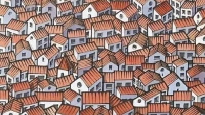Spot the cat in this optical illusion. (X/@PandaGallery_) Spot the cat in this optical illusion. (X/@PandaGallery_)
