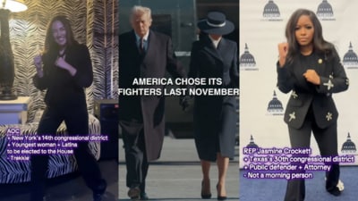 White House mocks Democrats over viral 'choose your fighter' TikTok video (X) White House mocks Democrats over viral 'choose your fighter' TikTok video (X)
