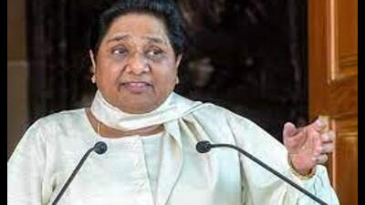 The BSP chief made the appeal in a post on X. (HT file)