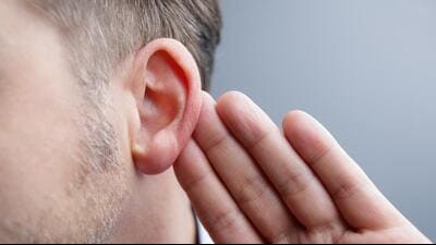 The cells that form human ear cartilage and fish gill cartilage showed very similar patterns of gene activity, despite coming from entirely different animals. (Getty Images/iStockphoto) The cells that form human ear cartilage and fish gill cartilage showed very similar patterns of gene activity, despite coming from entirely different animals. (Getty Images/iStockphoto)