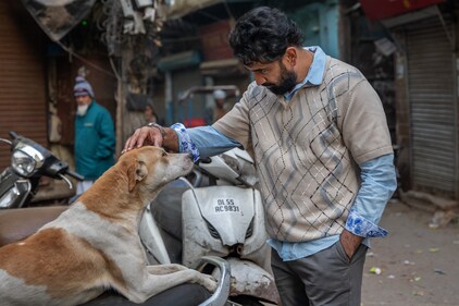 In the Bollywood film Sukhee (2023), actor Amit Sadh was seen portraying a character that owns and trains horses. In real life, he's a die-hard animal lover! (Photos: Vineet Vohra)