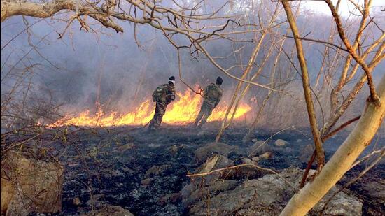 2017 forest fire in the area adjacent to the Ekling Garh Army Cantonment in Udaipur (HT Photo/ Representative photo)