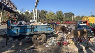 Garbage on MG Road near the wooden market in Gurugram on Saturday. (Parveen Kumar/HT Photo)