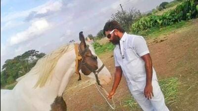 While most of Dabhade’s assets, including vehicles, were disposed of following police seizure, the mare, housed at a cattle shelter in Maval, has been left in bureaucratic limbo with no resolution in sight. (HT PHOTO) While most of Dabhade’s assets, including vehicles, were disposed of following police seizure, the mare, housed at a cattle shelter in Maval, has been left in bureaucratic limbo with no resolution in sight. (HT PHOTO)