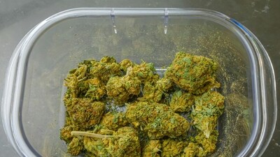 Two women were arrested for allegedly smuggling hybrid ganja through Cochin International Airport worth ₹44 lakh (Pexels) Two women were arrested for allegedly smuggling hybrid ganja through Cochin International Airport worth ₹44 lakh (Pexels)